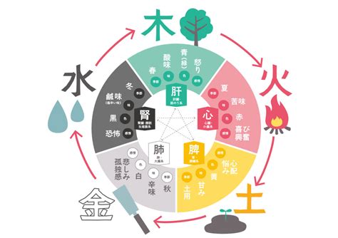 5行 火|五元素「木・火・土・金・水」の意味｜東洋医学と陰 